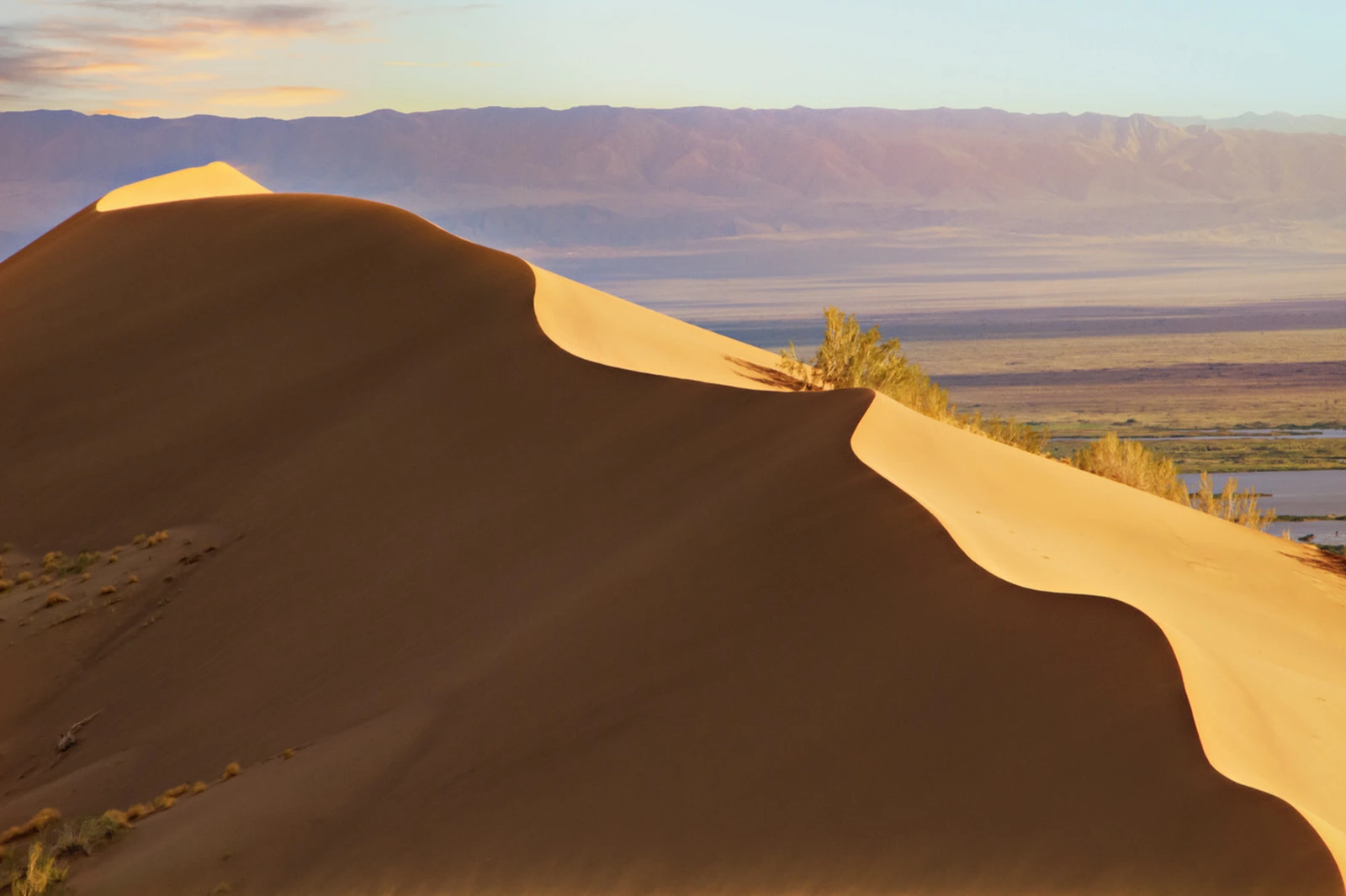 Singing Dune's curved sandy slopes with deep shadows overlooking the valley at sunset
